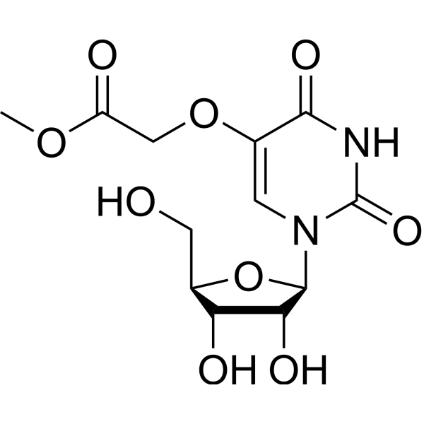 Uridine 5-oxyacetic acid methyl ester 66536-81-0